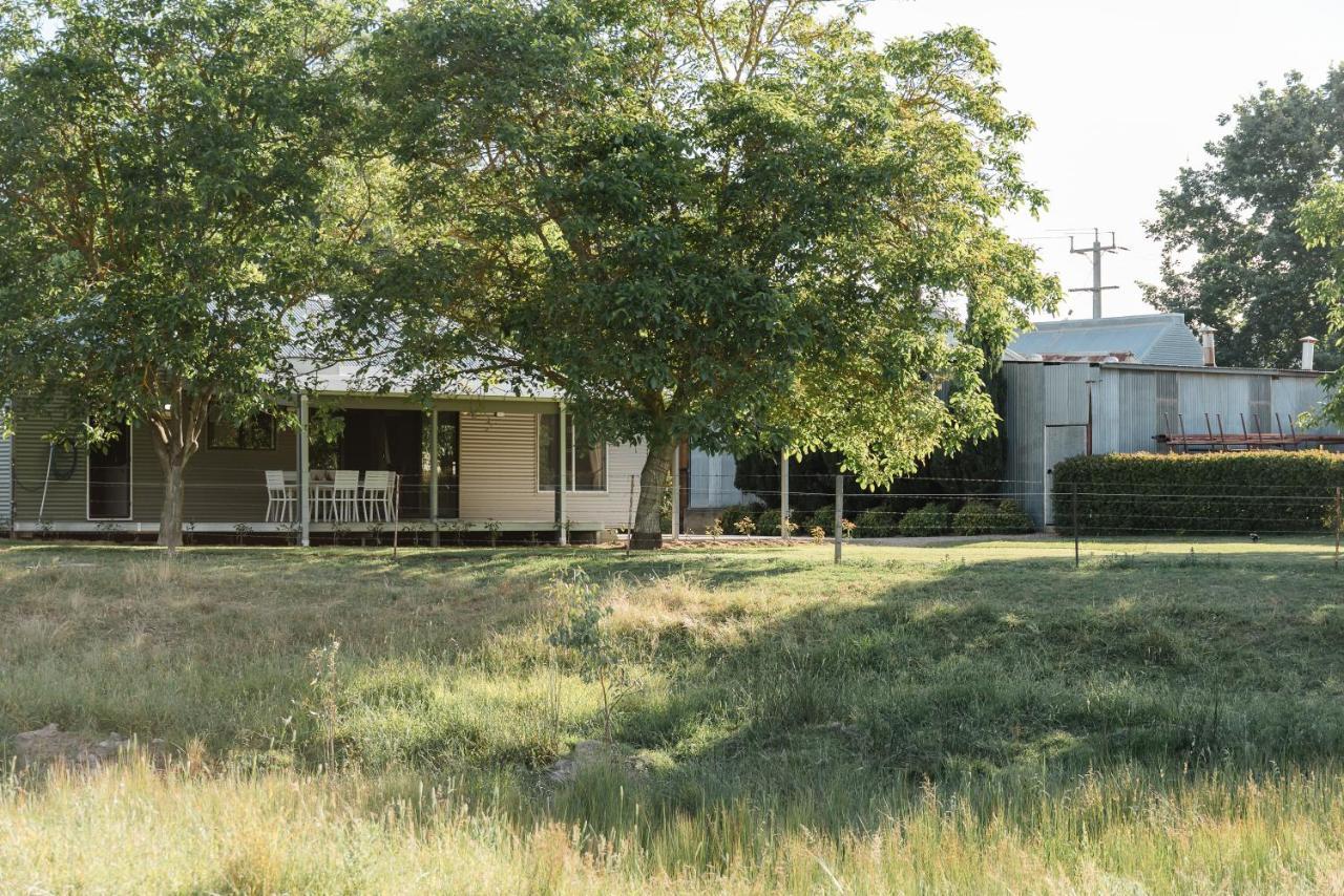 Holiday home Walnut Tree Whorouly
