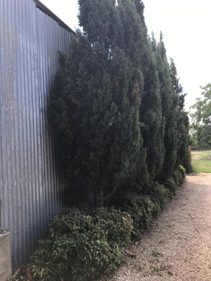 Walnut Tree Holiday home Whorouly