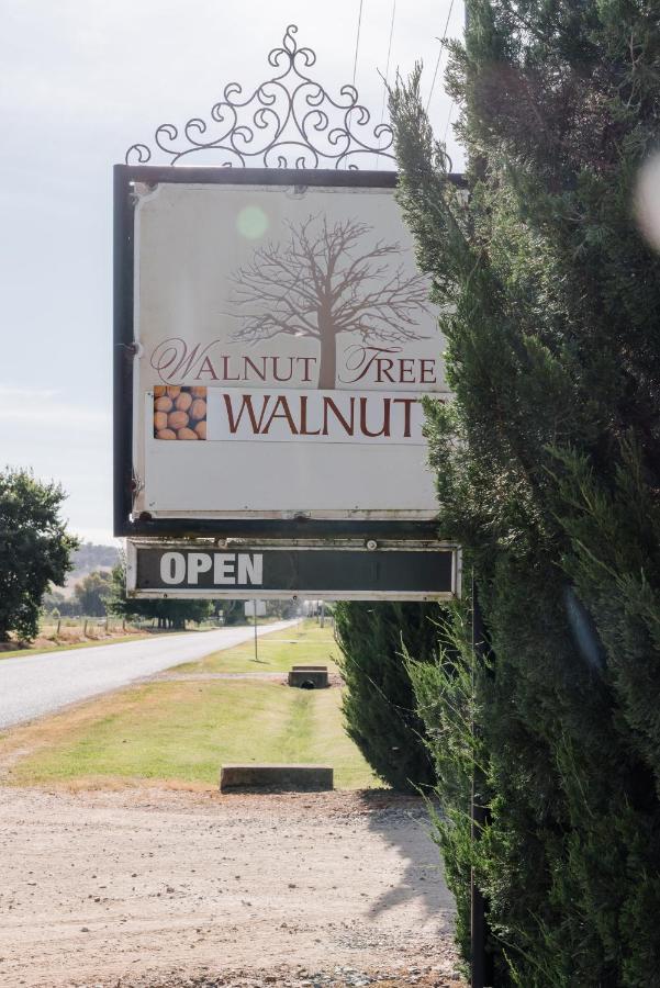 Holiday home Walnut Tree