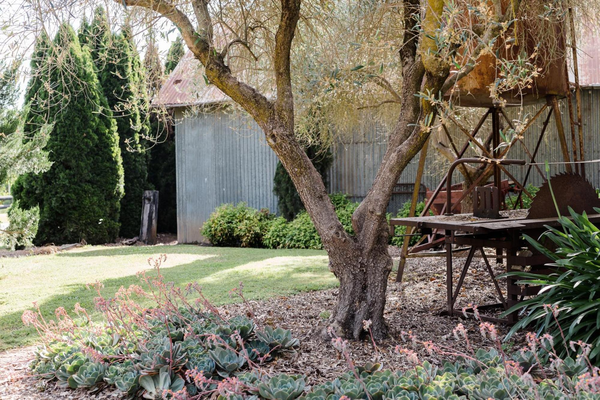 Holiday home Walnut Tree Whorouly
