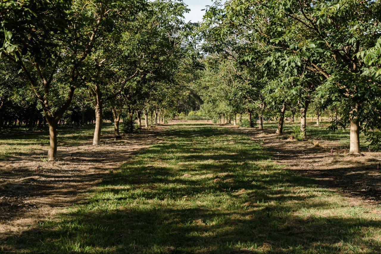 Walnut Tree Holiday home Whorouly